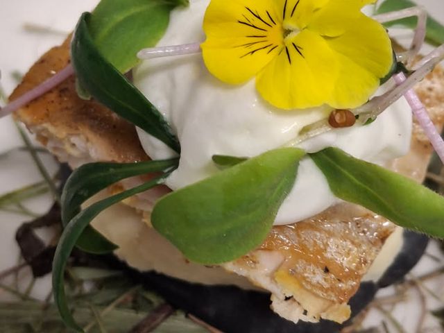 Les Jardins De La Vieille Fontaine 6999276828422836420 (002).JPG